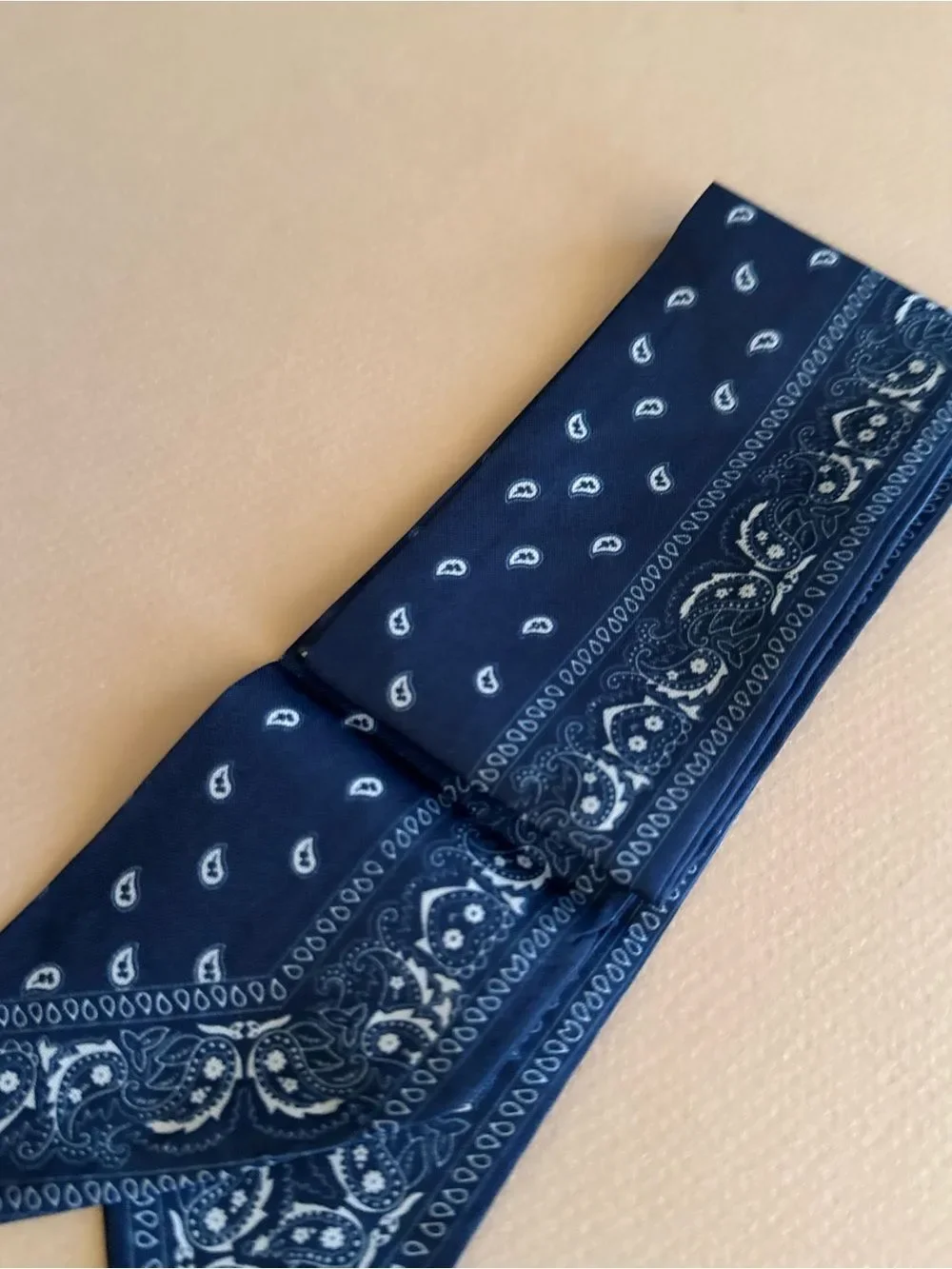 Classic Navy Paisley scarf M1592